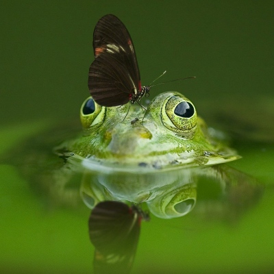 Journée mondiale de la biodiversité